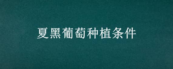 夏黑葡萄种植条件（夏黑葡萄种植栽培技术）