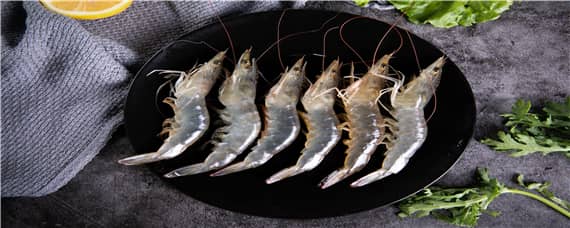 黑虎虾养殖技术