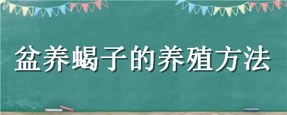 盆养蝎子的养殖方法（蝎子养殖技术宝典）