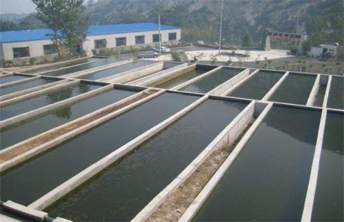 夏季 水产养殖 管理技术
