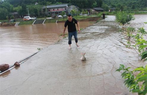 台风天气 水产养殖 应对措施