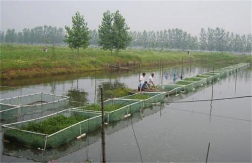 水产养殖行业常见风险 水产养殖风险分析