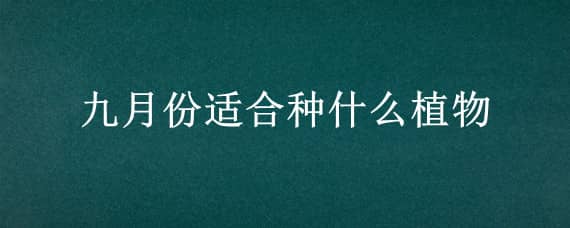 九月份适合种什么植物（九月份适合种什么植物图片）