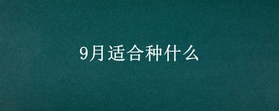 9月适合种什么