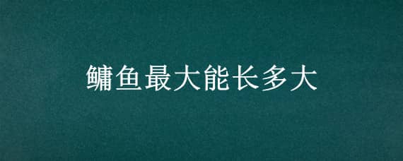 鳙鱼最大能长多大