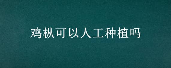 鸡枞可以人工种植吗