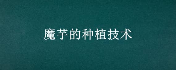 魔芋的种植技术 魔芋的种植技术与管理视频培训