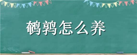 鹌鹑怎么养 家养几只鹌鹑怎么养