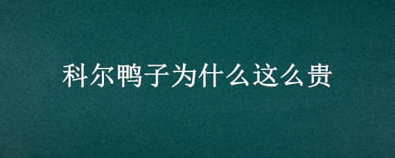 科尔鸭子为什么这么贵