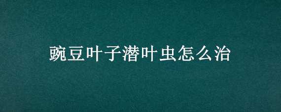 豌豆叶子潜叶虫怎么治