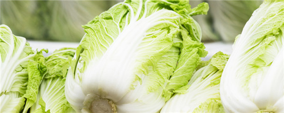 大白菜用什么复合肥 大白菜能施复合肥吗