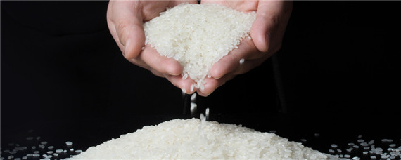 淘米水是氮肥还是磷肥（淘米水沤肥是氮肥吗）