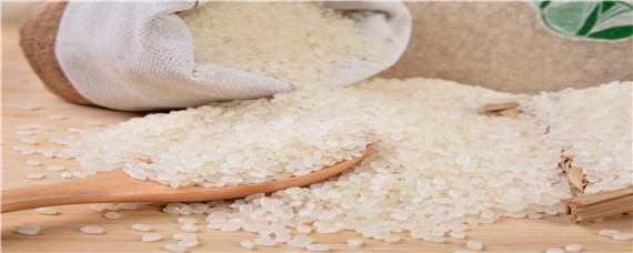 大米生产过程4步骤 大米生产工艺流程