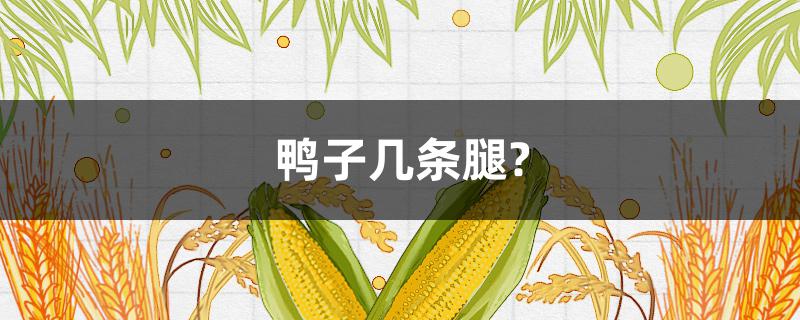 鸭子几条腿?