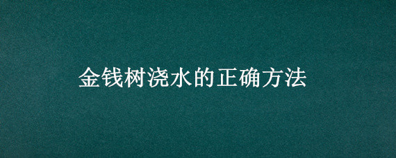 金钱树浇水的正确方法（金钱树树浇水的正确方法）