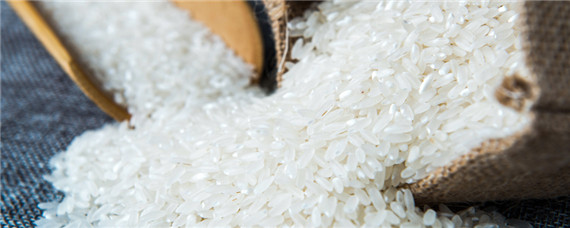 稻米出口国有哪三个 三大稻米出口国是