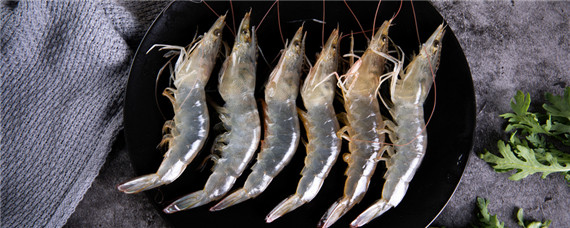 基围虾是淡水养殖还是海水养殖（基围虾是淡水养殖还是海水养殖的）