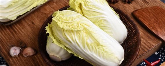 大白菜生长的适宜温度是多少 大白菜生长适宜温度是多少度