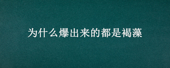 为什么爆出来的都是褐藻 想爆绿藻,但出褐藻,大家能帮我找找原因?