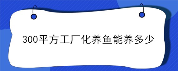 300平方工厂化养鱼能养多少 300平方可以养多少鱼