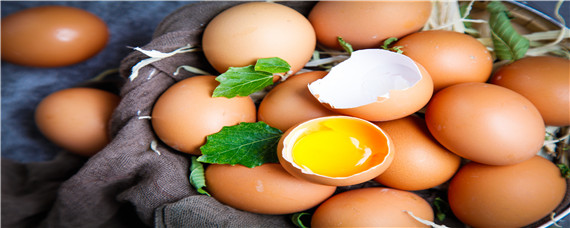 土鸡蛋和饲料鸡蛋营养价值一样吗（土鸡蛋和饲料鸡蛋营养价值一样吗百度百科）
