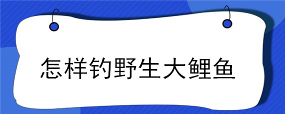 怎样钓野生大鲤鱼（野生水域怎么钓鲤鱼）