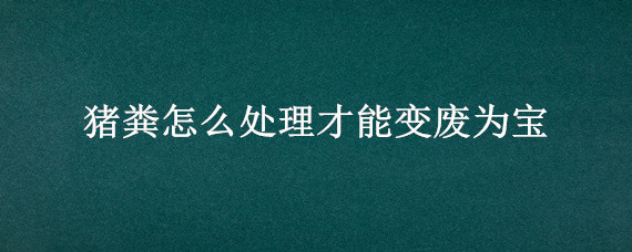 猪粪怎么处理才能变废为宝 养猪场的猪粪怎么处理才能变废为宝