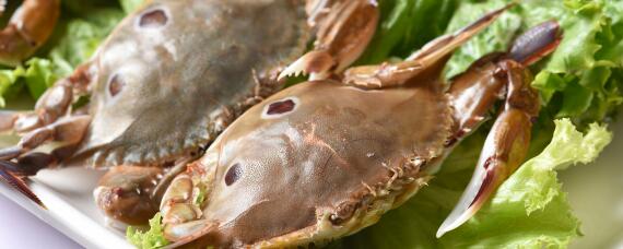 梭子蟹是养殖的还是海捕的 养殖梭子蟹是海鲜吗