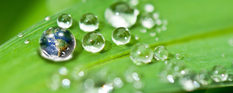 体会水和光对于植物生长的重要性（体会水和光对于植物生长的重要性怎么写）