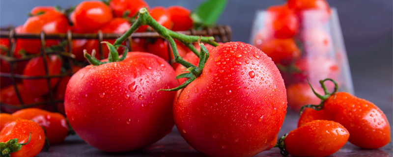 圣女果和西红柿的区别 千禧果圣女果和西红柿的区别
