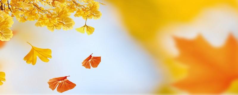 秋分象征着什么 秋分的含义是什么