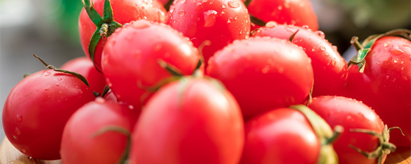 圣女果和小番茄的区别 圣女果和小番茄的区别是什么