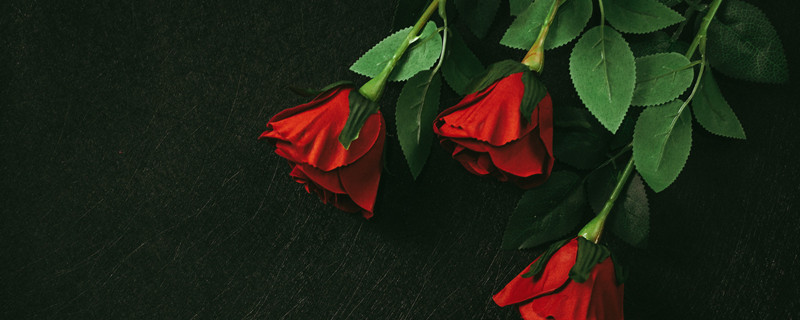 情人节送玫瑰花的含义 情人节送红玫瑰代表什么