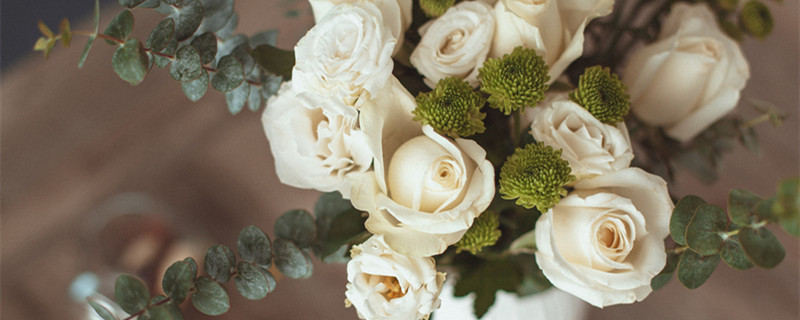 送白玫瑰花的含义 送白玫瑰的含义是什么