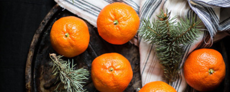 柑橘种植方法和时间