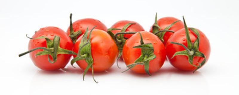 西红柿苗什么时候施肥