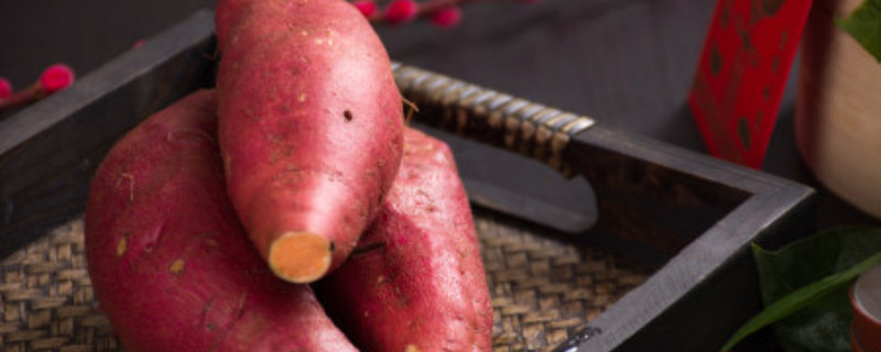 怎样栽红薯增产高产