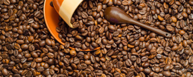 咖啡渣怎么做肥料 咖啡渣怎么做肥料种花