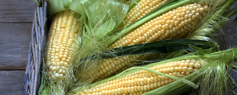 玉米苗期黄叶的原因