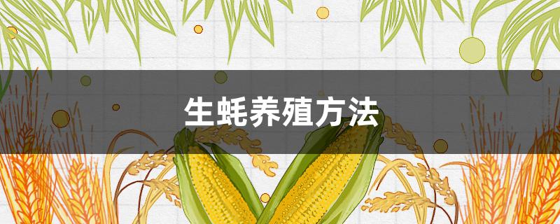 生蚝养殖方法