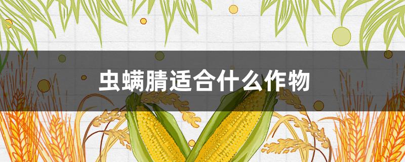 虫螨腈适合什么作物