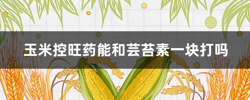 玉米控旺药能和芸苔素一块打吗