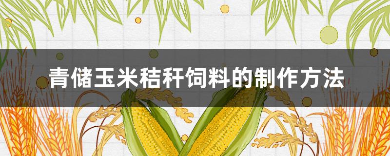 青储玉米秸秆饲料的制作方法