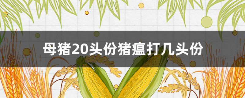 母猪20头份猪瘟打几头份