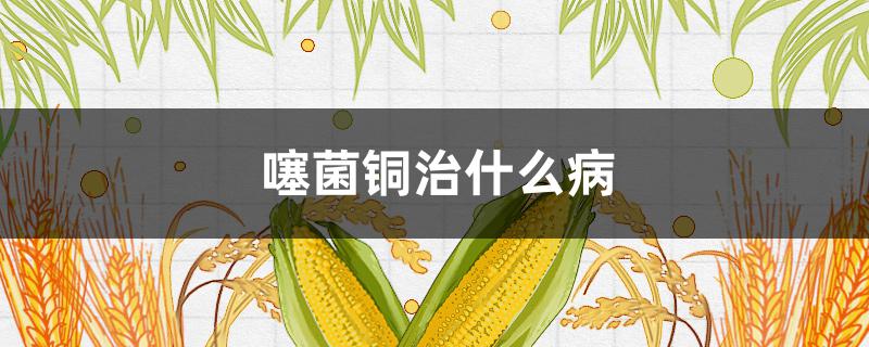 噻菌铜治什么病 噻菌铜的作用和用途