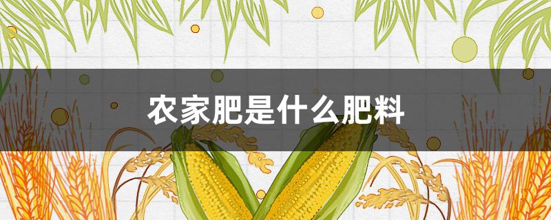 农家肥是什么肥料（农家肥是什么肥料图片）