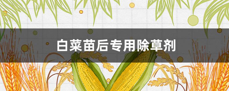 白菜苗后专用除草剂 大白菜苗后专用除草剂