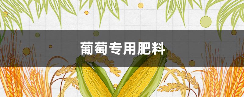 葡萄专用肥料