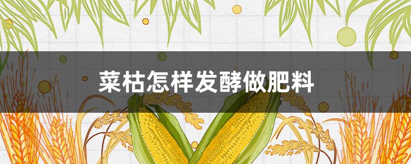 菜枯怎样发酵做肥料 菜枯怎样发酵做肥料不臭