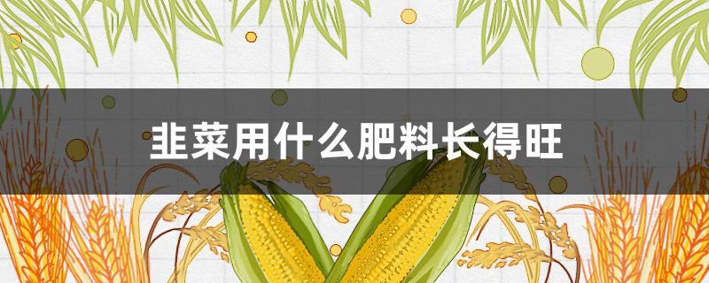 韭菜用什么肥料长得旺